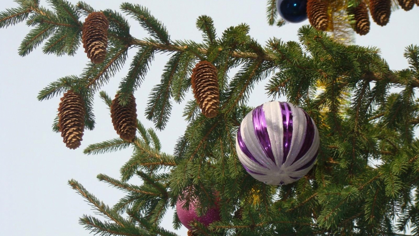 Arbre de Noël, Nouvelle Année, Décoration de Noël, Sapin, Famille Des Pins. Wallpaper in 1366x768 Resolution