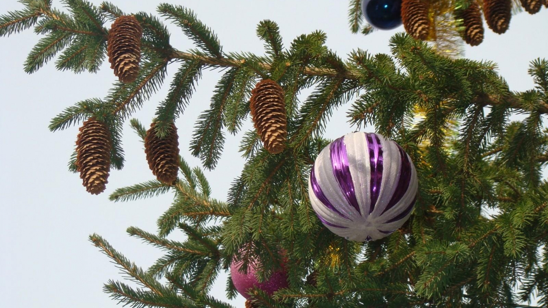 Arbre de Noël, Nouvelle Année, Décoration de Noël, Sapin, Famille Des Pins. Wallpaper in 1920x1080 Resolution