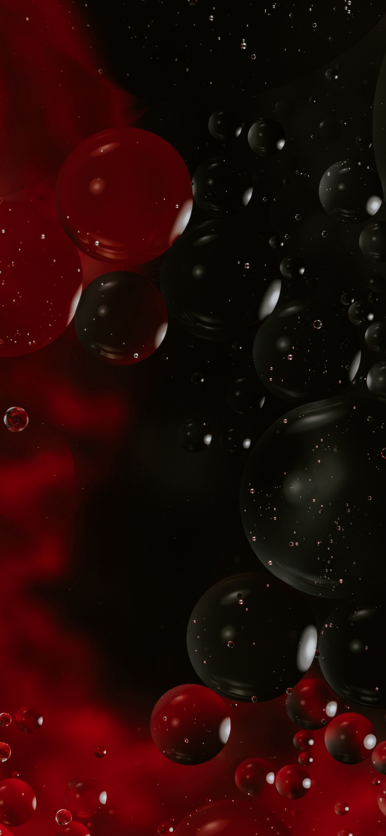 Ornement Rond Rouge et Blanc. Wallpaper in 1242x2688 Resolution