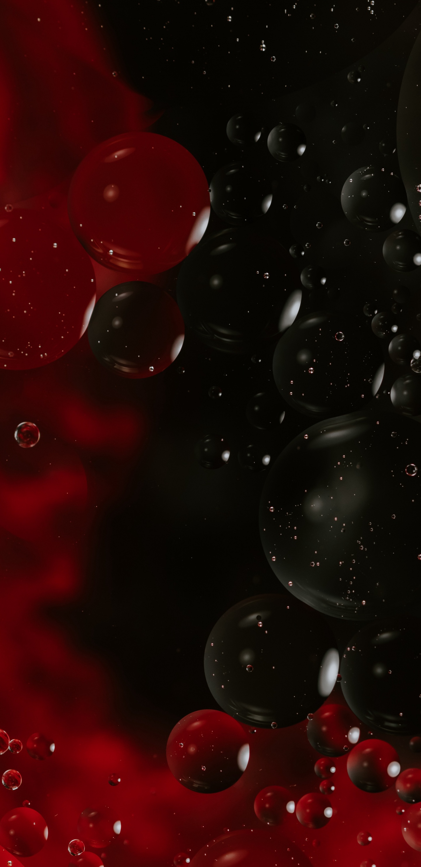 Ornement Rond Rouge et Blanc. Wallpaper in 1440x2960 Resolution