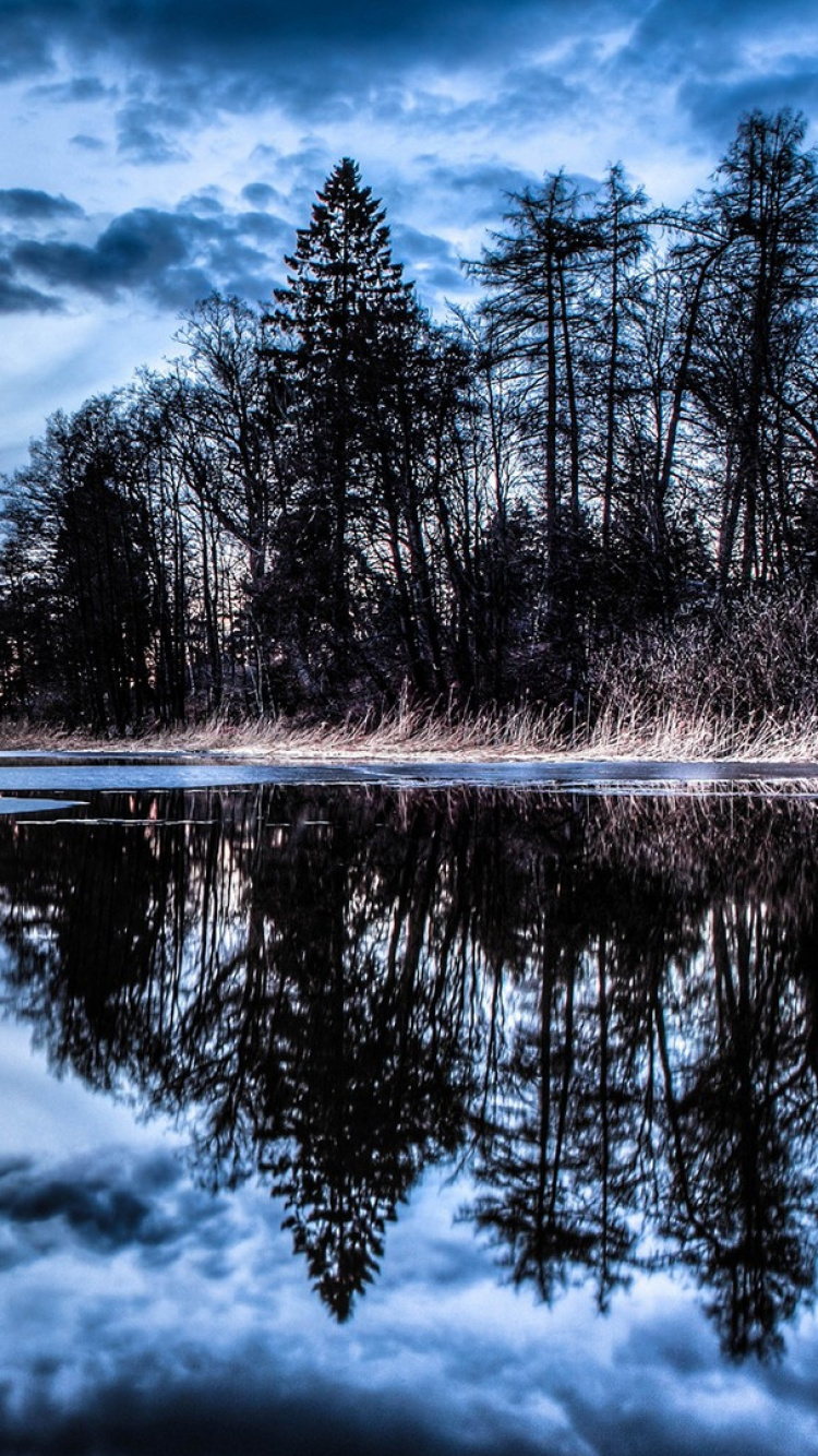 Green Trees Beside Body of Water Under Blue Sky. Wallpaper in 750x1334 Resolution