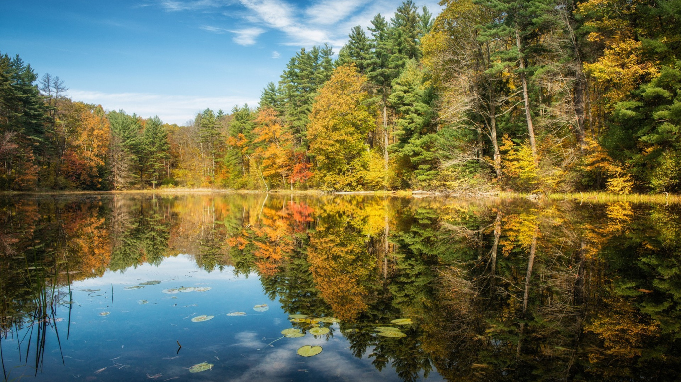 Grüne Bäume Neben Dem Fluss Unter Blauem Himmel Tagsüber. Wallpaper in 1366x768 Resolution