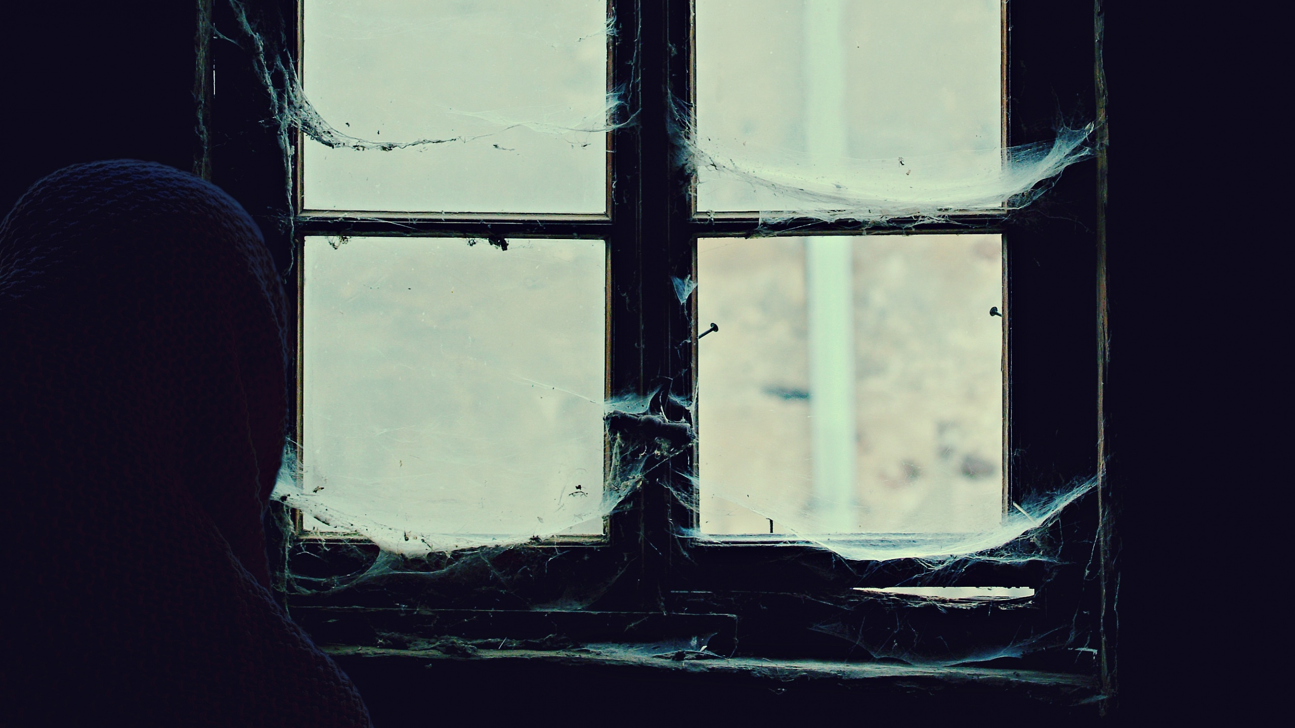 Person Vor Fenster. Wallpaper in 2560x1440 Resolution