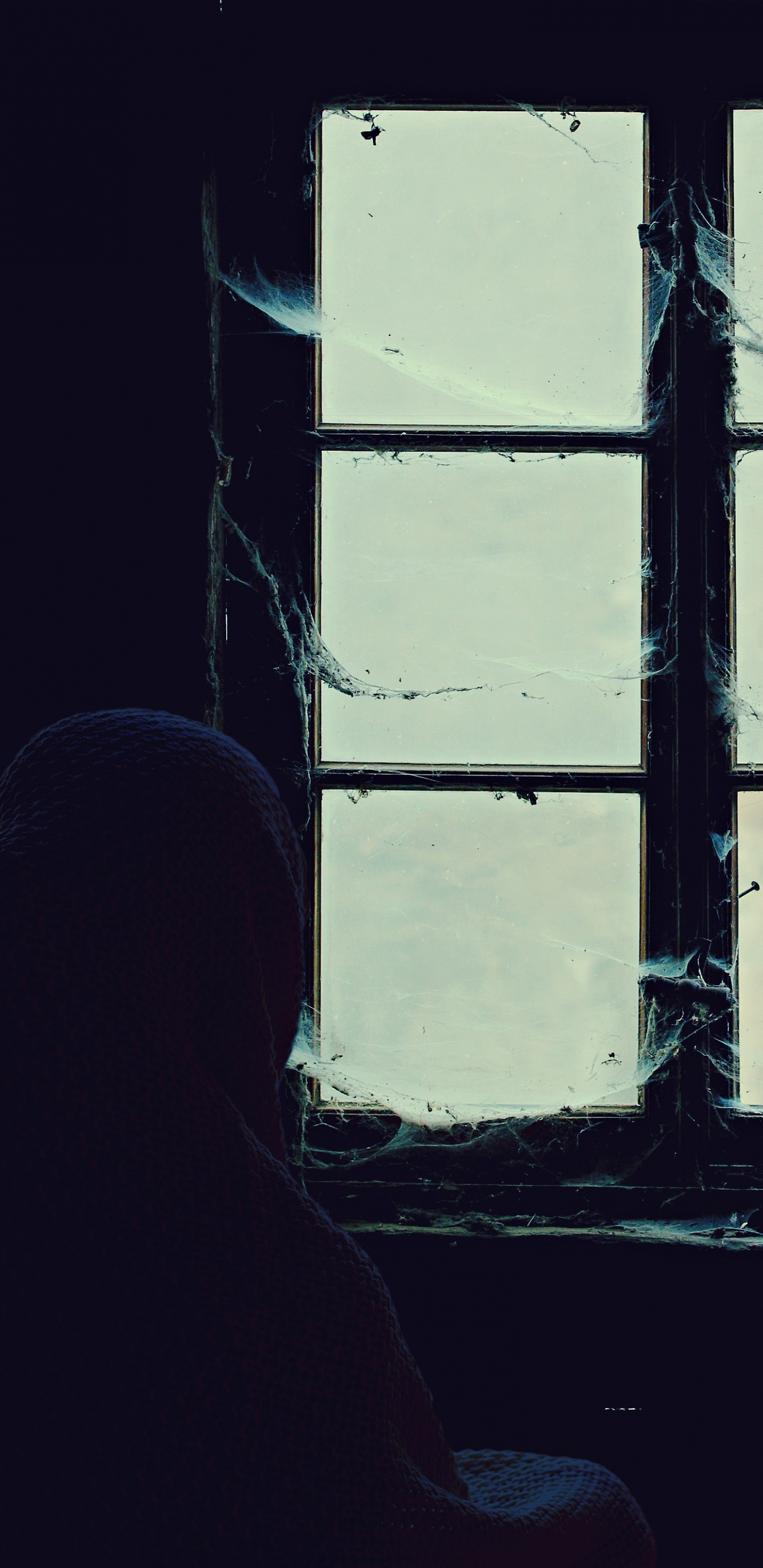 Person in Front of Window. Wallpaper in 1440x2960 Resolution