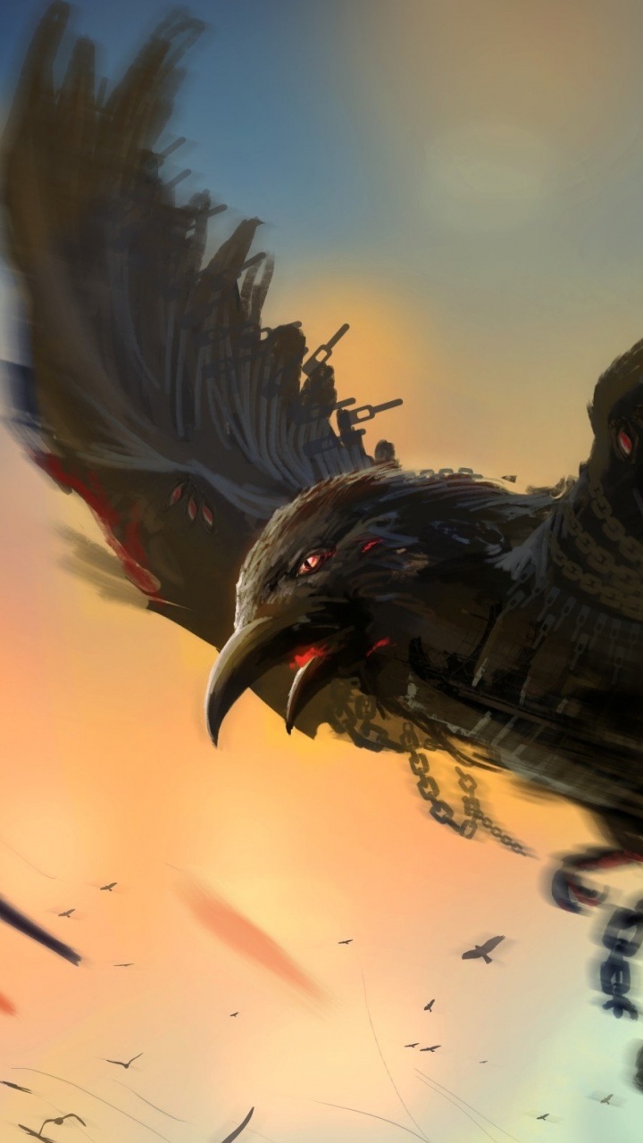 Oiseau Noir et Brun Sur Une Branche D'arbre. Wallpaper in 720x1280 Resolution