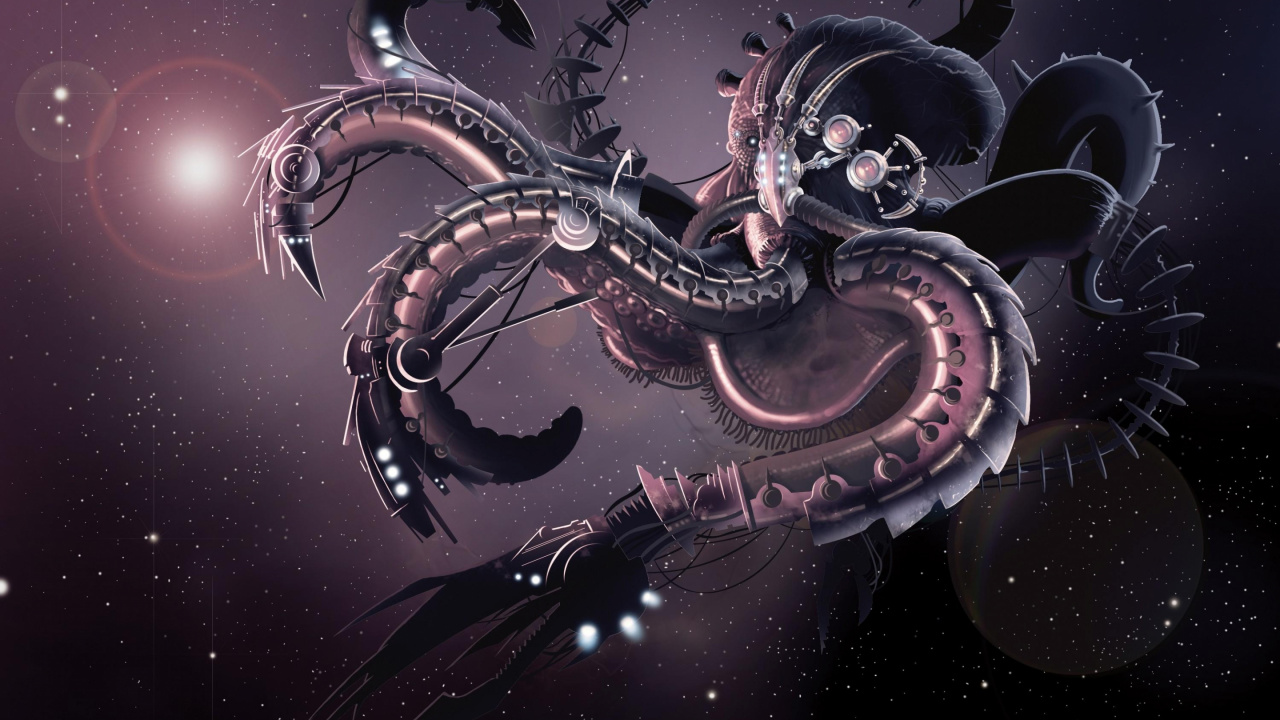 Illustration de Chat Noir et Blanc. Wallpaper in 1280x720 Resolution