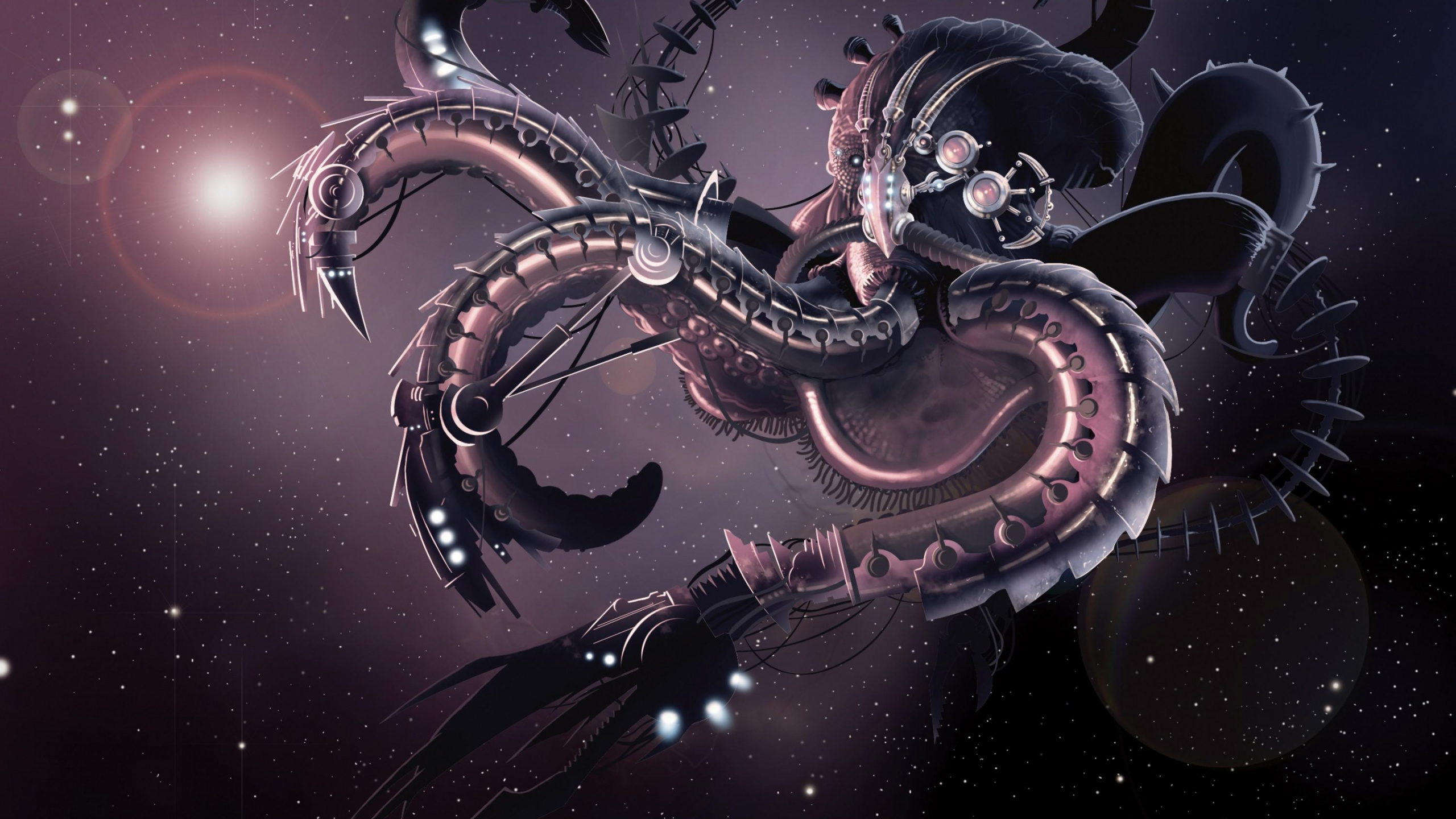 Schwarze Und Weiße Katzenillustration. Wallpaper in 2560x1440 Resolution