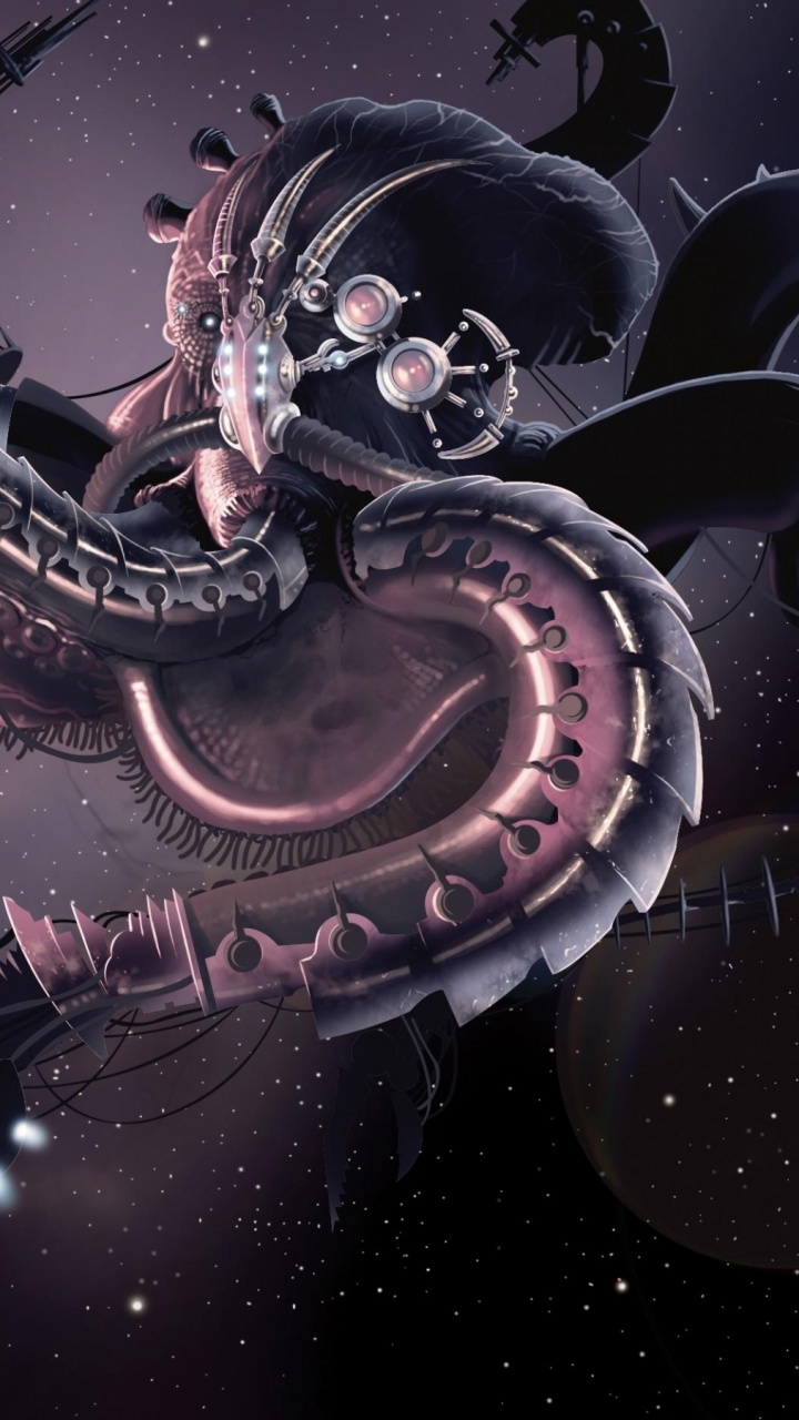 Ilustración de Gato Blanco y Negro. Wallpaper in 720x1280 Resolution