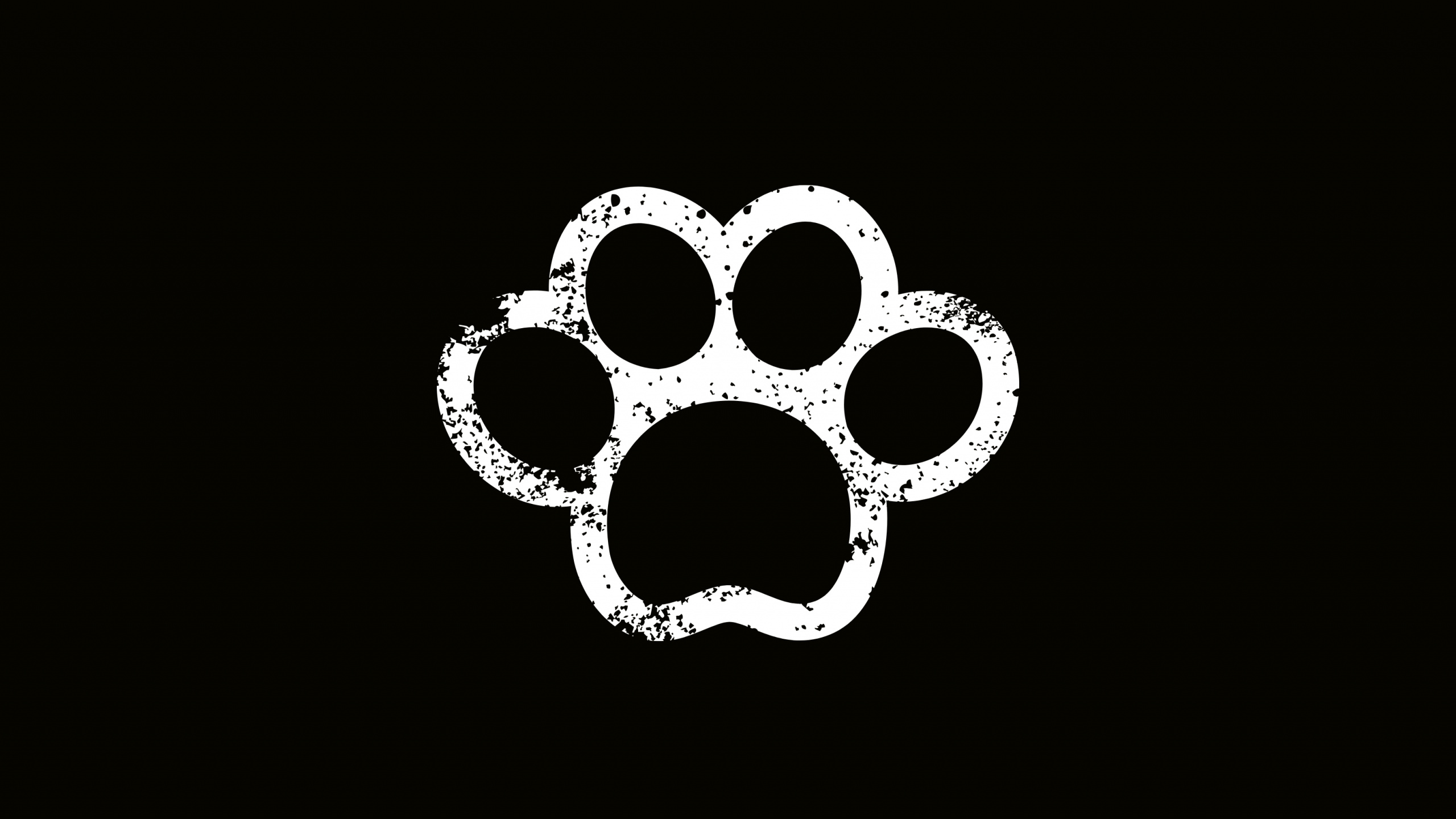 Illustration de Fleur en Noir et Blanc. Wallpaper in 2560x1440 Resolution