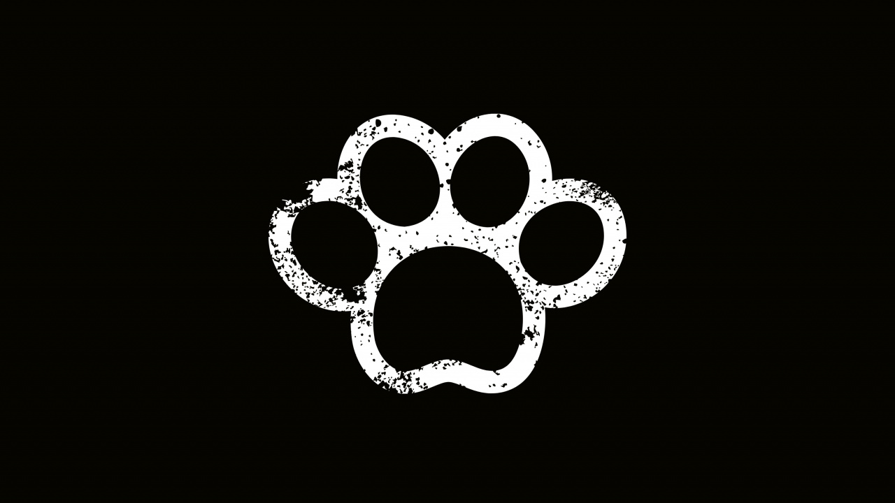 Schwarz-Weiß-Blumenillustration. Wallpaper in 1280x720 Resolution