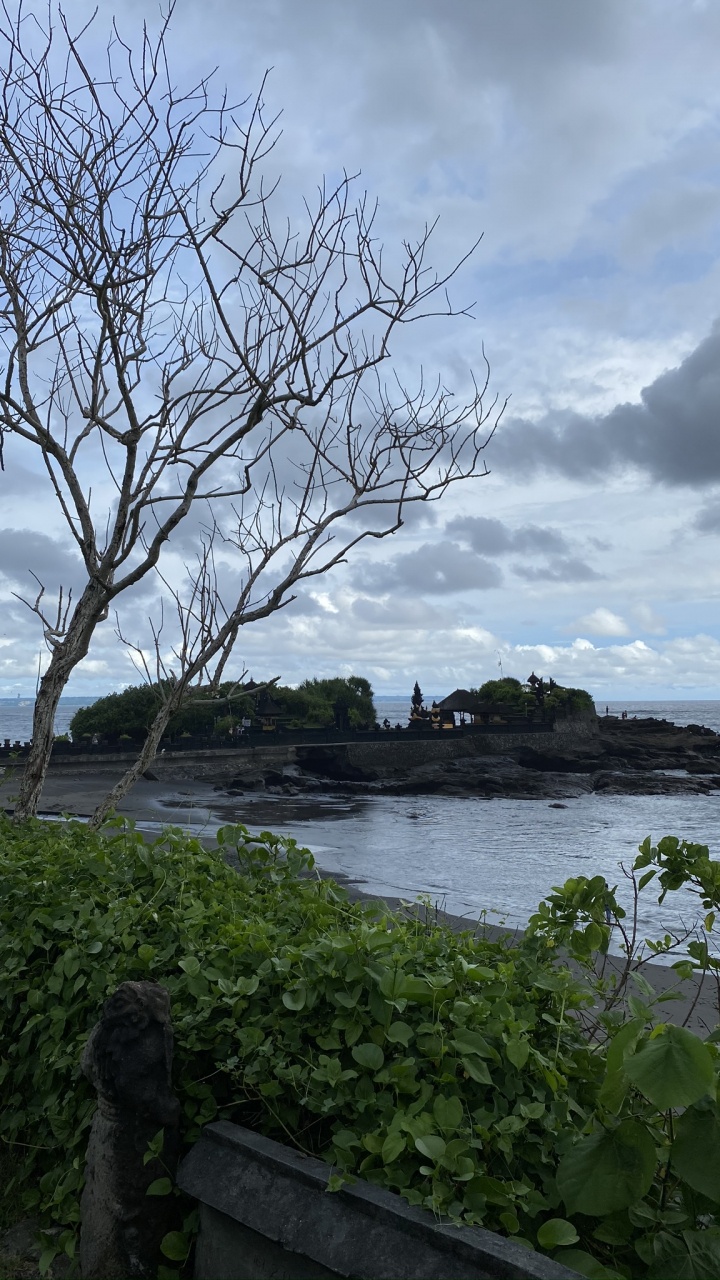 Indonésie, Bali, Eau, Sciences, Biologie. Wallpaper in 720x1280 Resolution