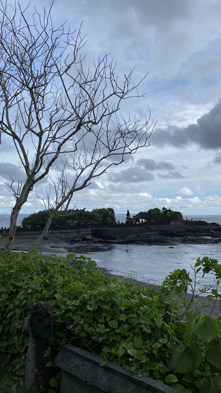 Indonesien, Bali, Wasser, Wissenschaft, Biologie. Wallpaper in 750x1334 Resolution