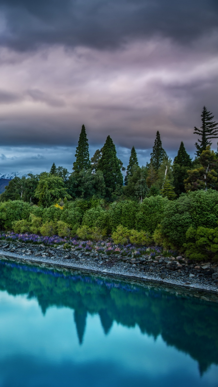 Árboles Verdes Cerca Del Cuerpo de Agua Bajo un Cielo Nublado Durante el Día. Wallpaper in 750x1334 Resolution