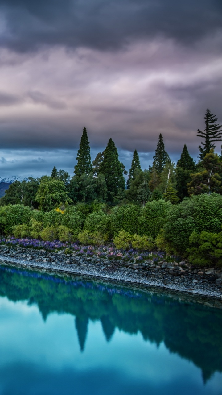 Green Trees Near Body of Water Under Cloudy Sky During Daytime. Wallpaper in 720x1280 Resolution
