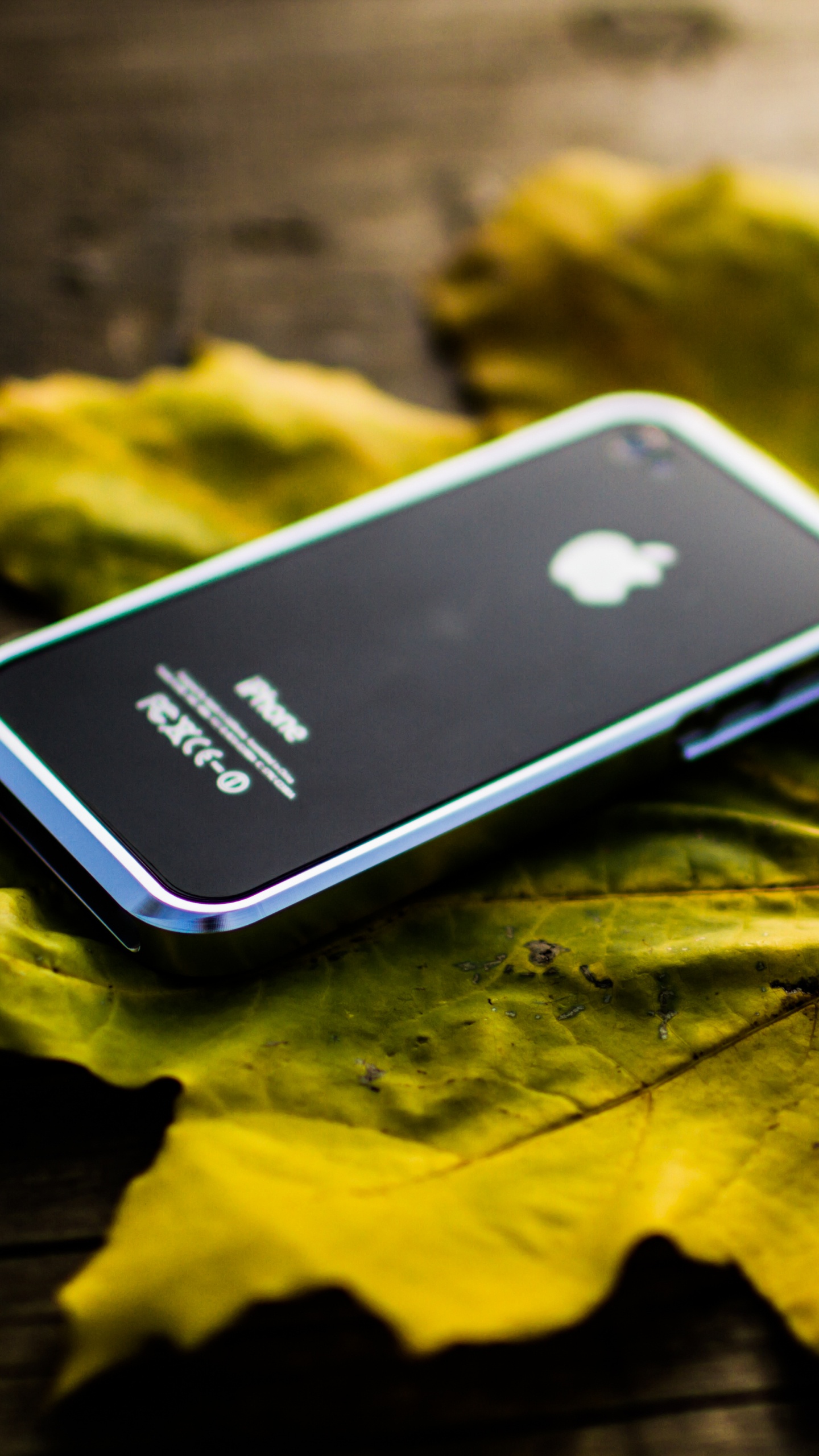 Black Iphone 5 on Yellow Maple Leaf. Wallpaper in 1440x2560 Resolution