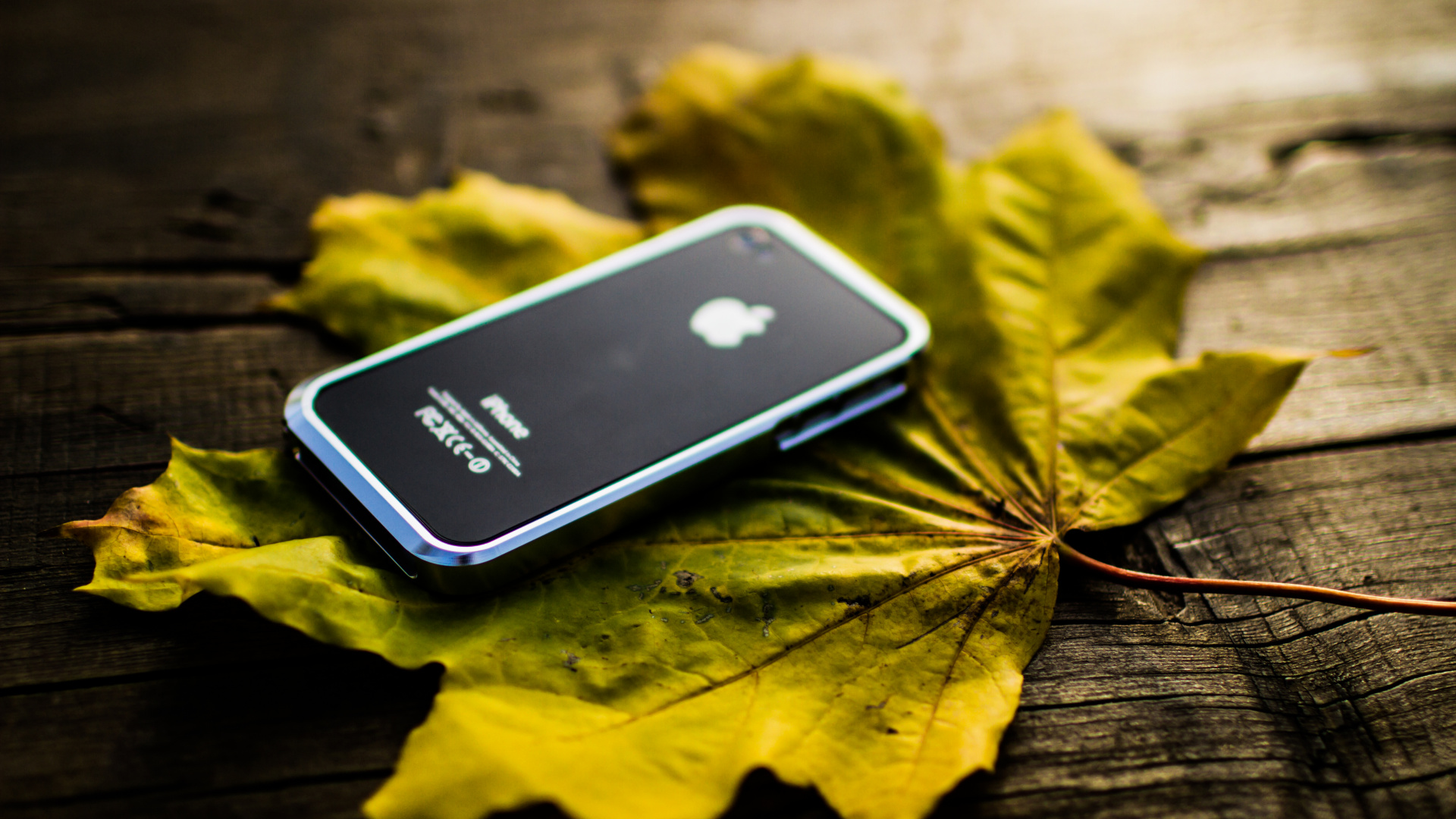 Black Iphone 5 on Yellow Maple Leaf. Wallpaper in 1920x1080 Resolution