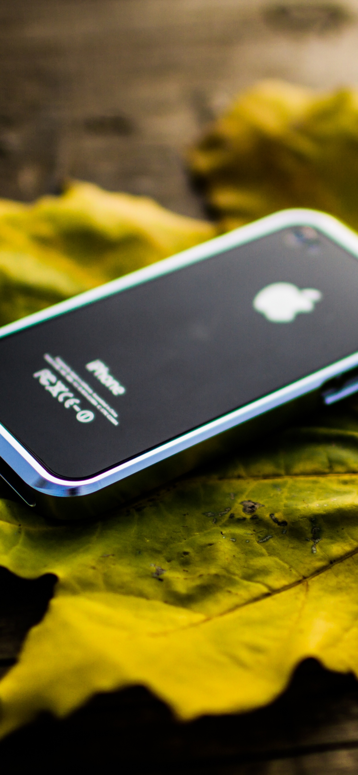 Iphone 5 Negro Sobre Hoja de Arce Amarilla. Wallpaper in 1242x2688 Resolution