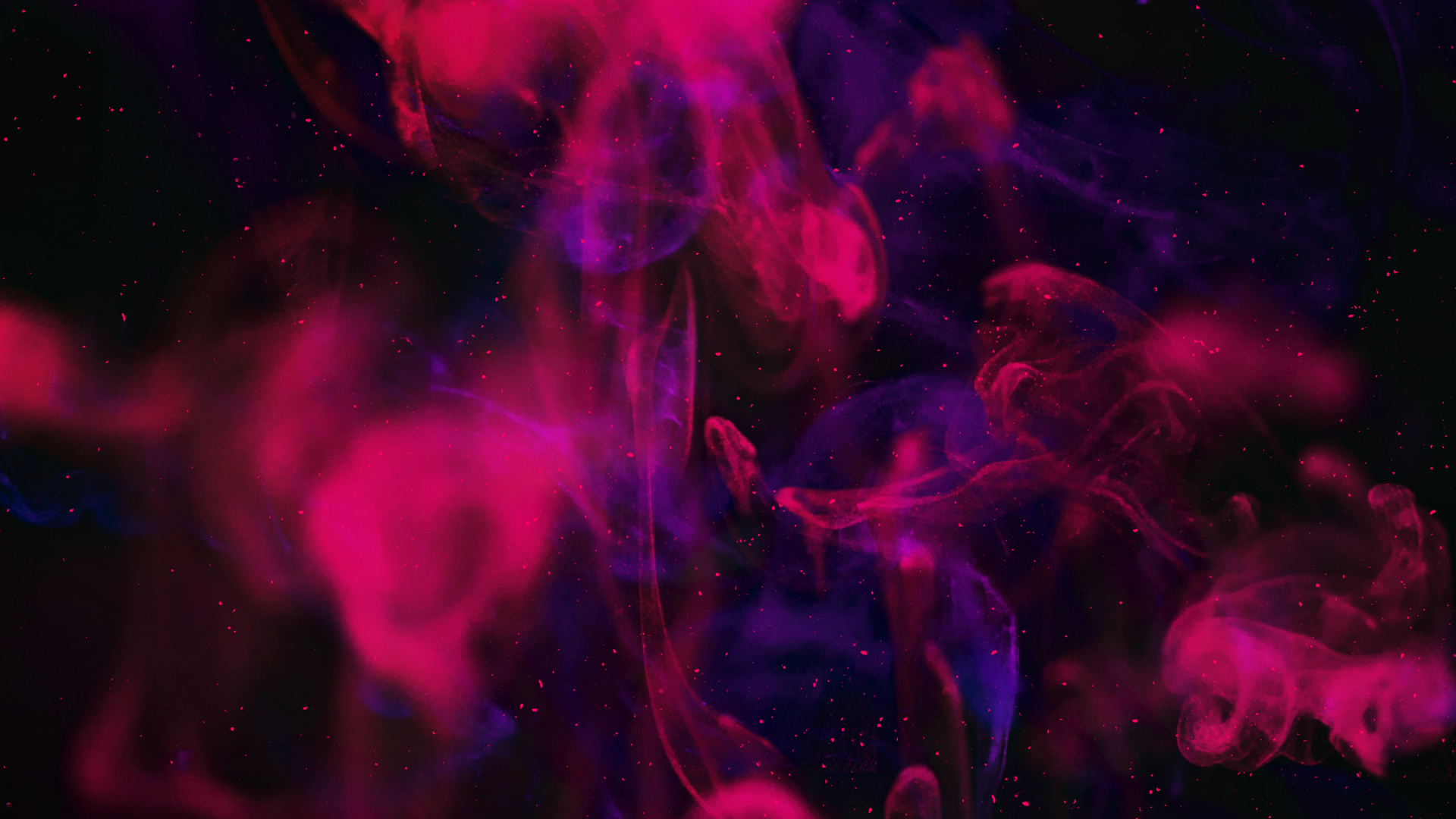 光, 科学, 物理学, 液体, 紫色的 壁纸 1920x1080 允许