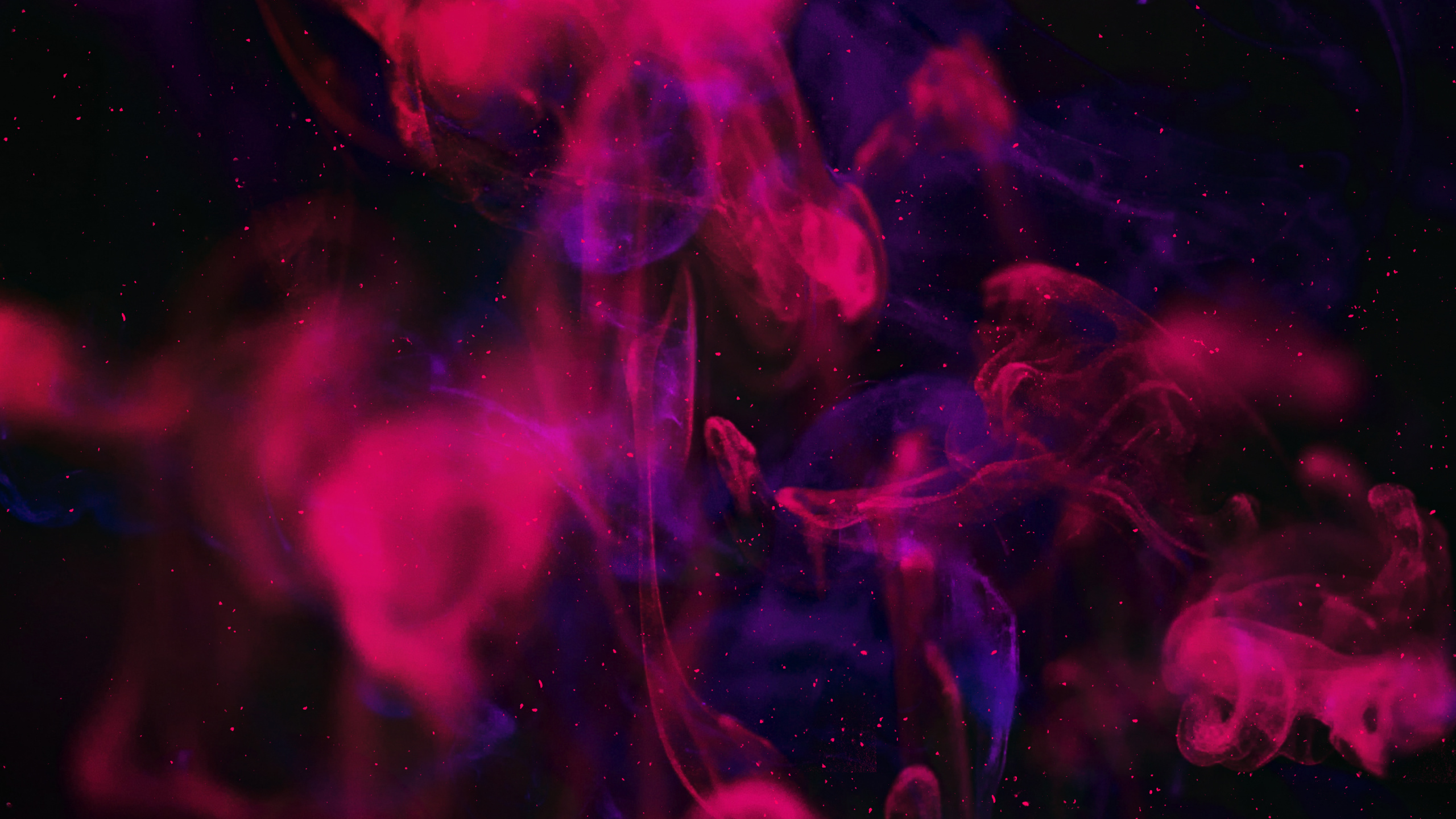 Licht, Wissenschaft, Physik, Purpur, Flüssigkeit. Wallpaper in 2560x1440 Resolution