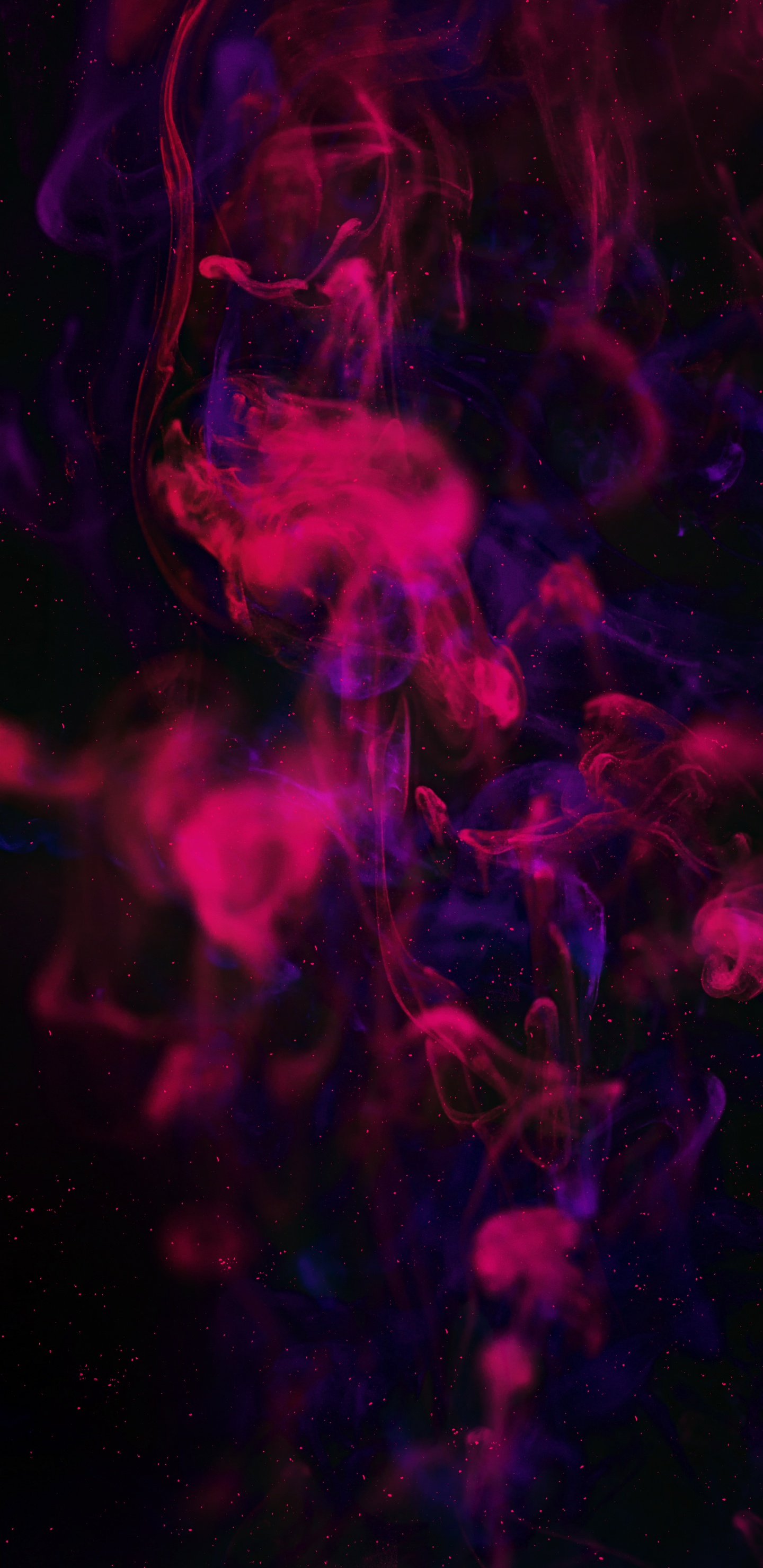 Lumière, Sciences, Physique, Liquid, Purple. Wallpaper in 1440x2960 Resolution