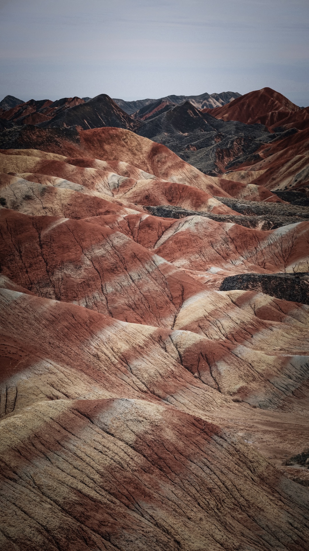 荒地, 棕色, 自然景观, 多山的地貌, 木 壁纸 1080x1920 允许