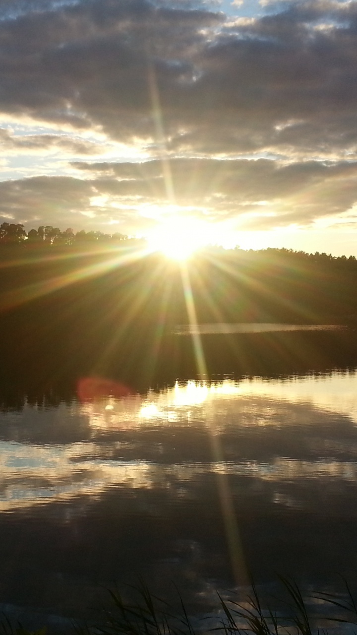 Arbres Verts Sous un Ciel Nuageux Pendant la Journée. Wallpaper in 720x1280 Resolution