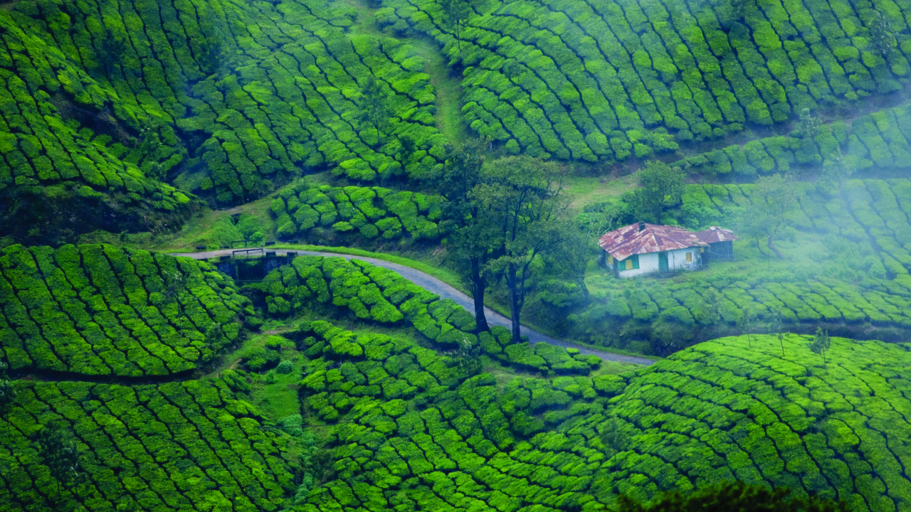 Casa Blanca y Marrón en el Campo de Hierba Verde. Wallpaper in 1280x720 Resolution