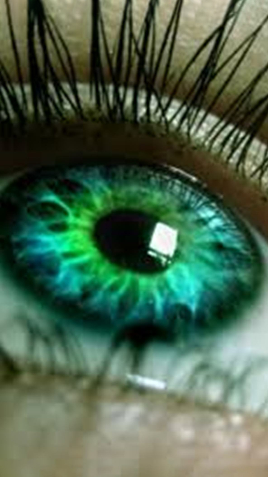 Electric Green Eyes, Eye Color, Contact Lens, Colored, Human Eye. Wallpaper in 1080x1920 Resolution