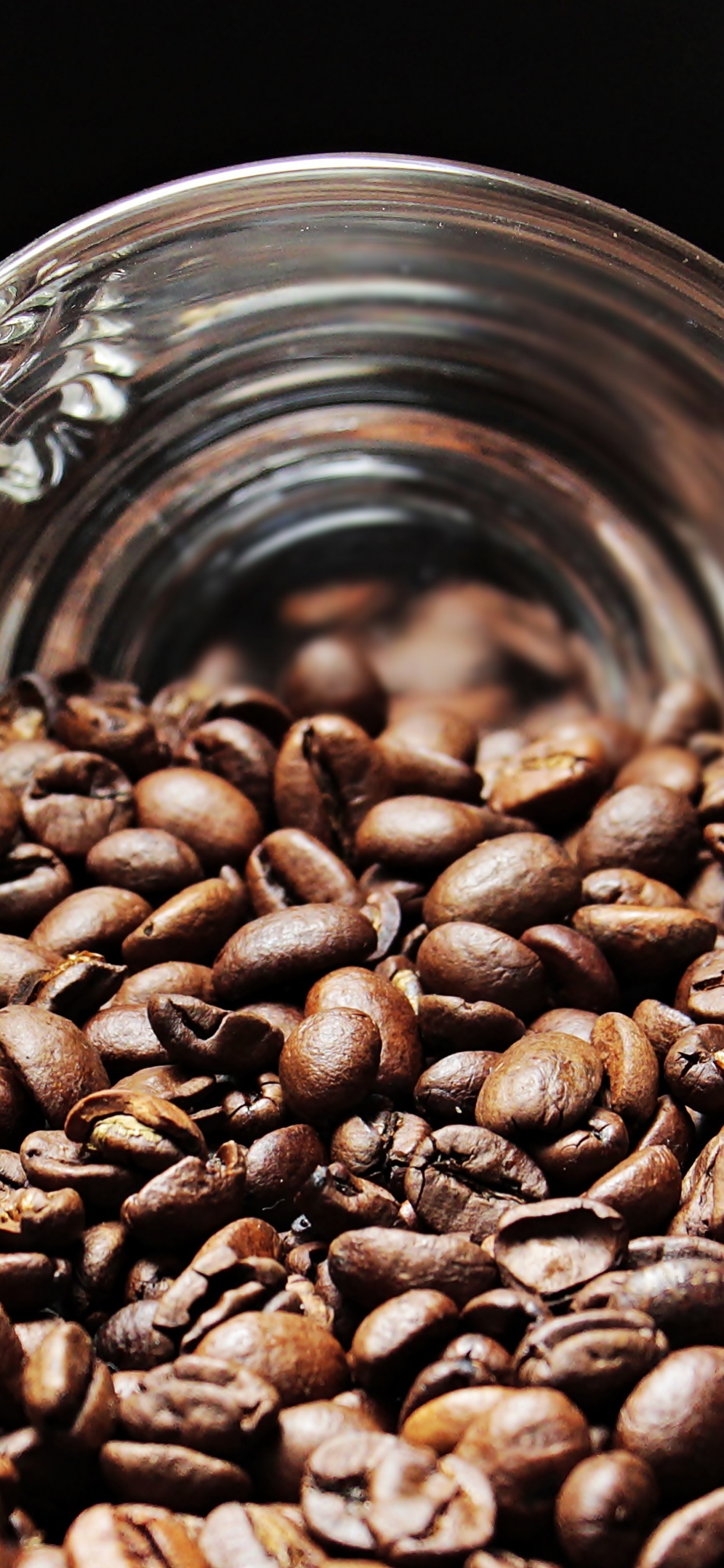 Coffee Beans in Clear Glass Mug. Wallpaper in 1242x2688 Resolution