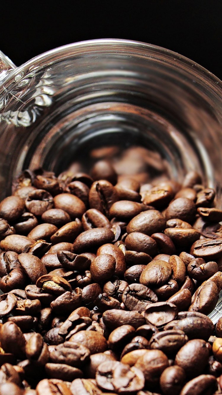 Coffee Beans in Clear Glass Mug. Wallpaper in 750x1334 Resolution