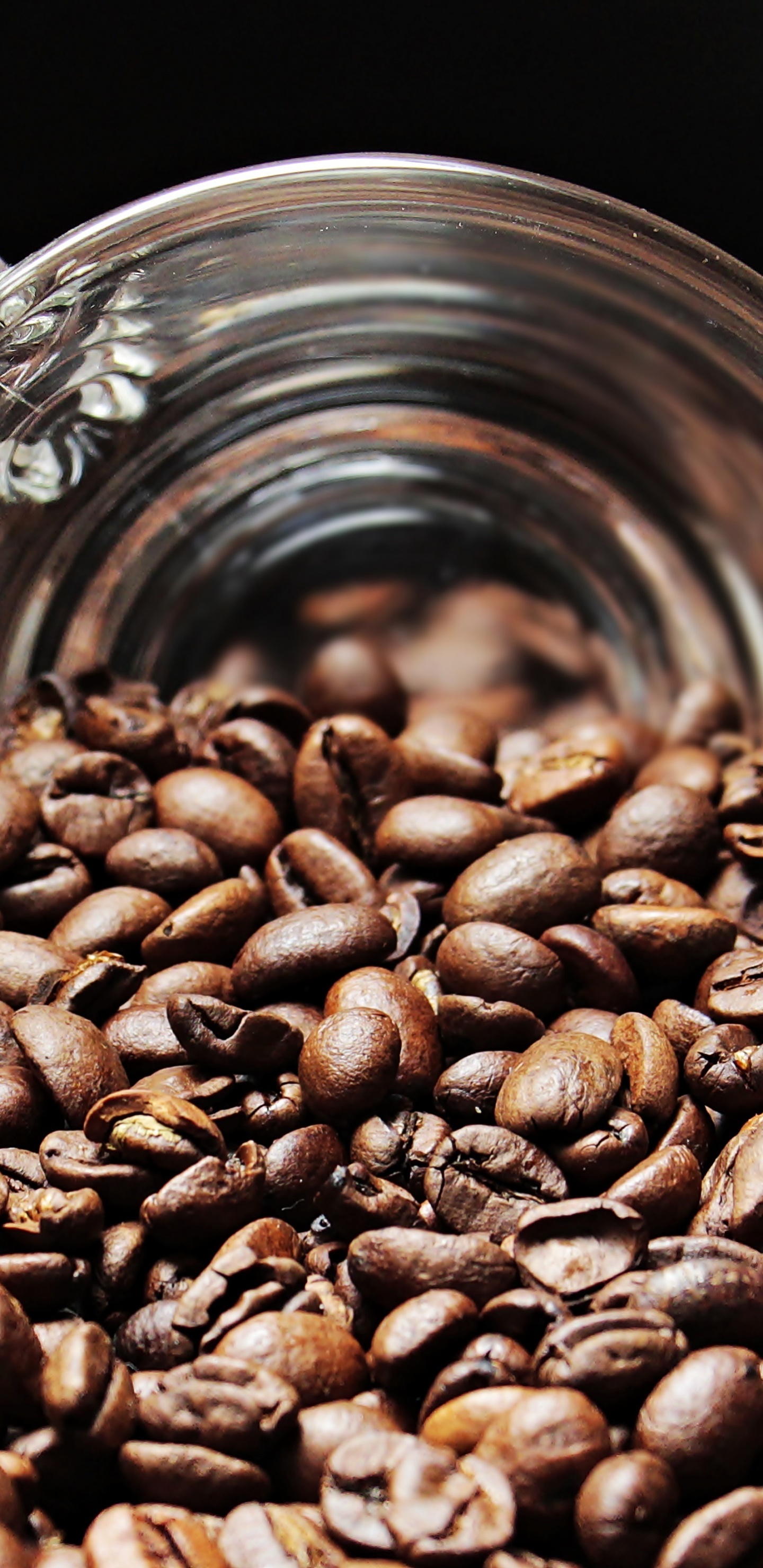 Granos de Café en Taza de Vidrio Transparente. Wallpaper in 1440x2960 Resolution