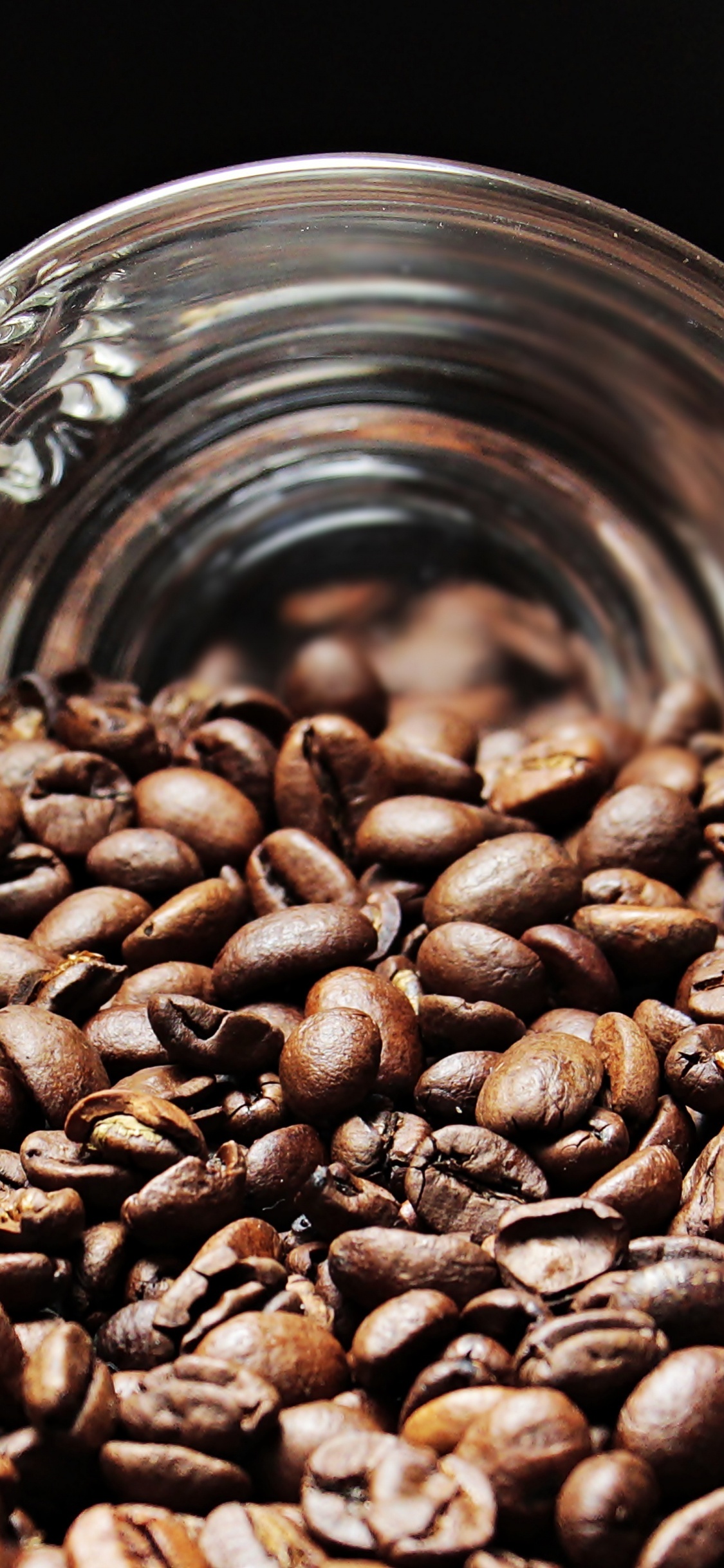 Grains de Café Dans Une Tasse en Verre Transparent. Wallpaper in 1125x2436 Resolution