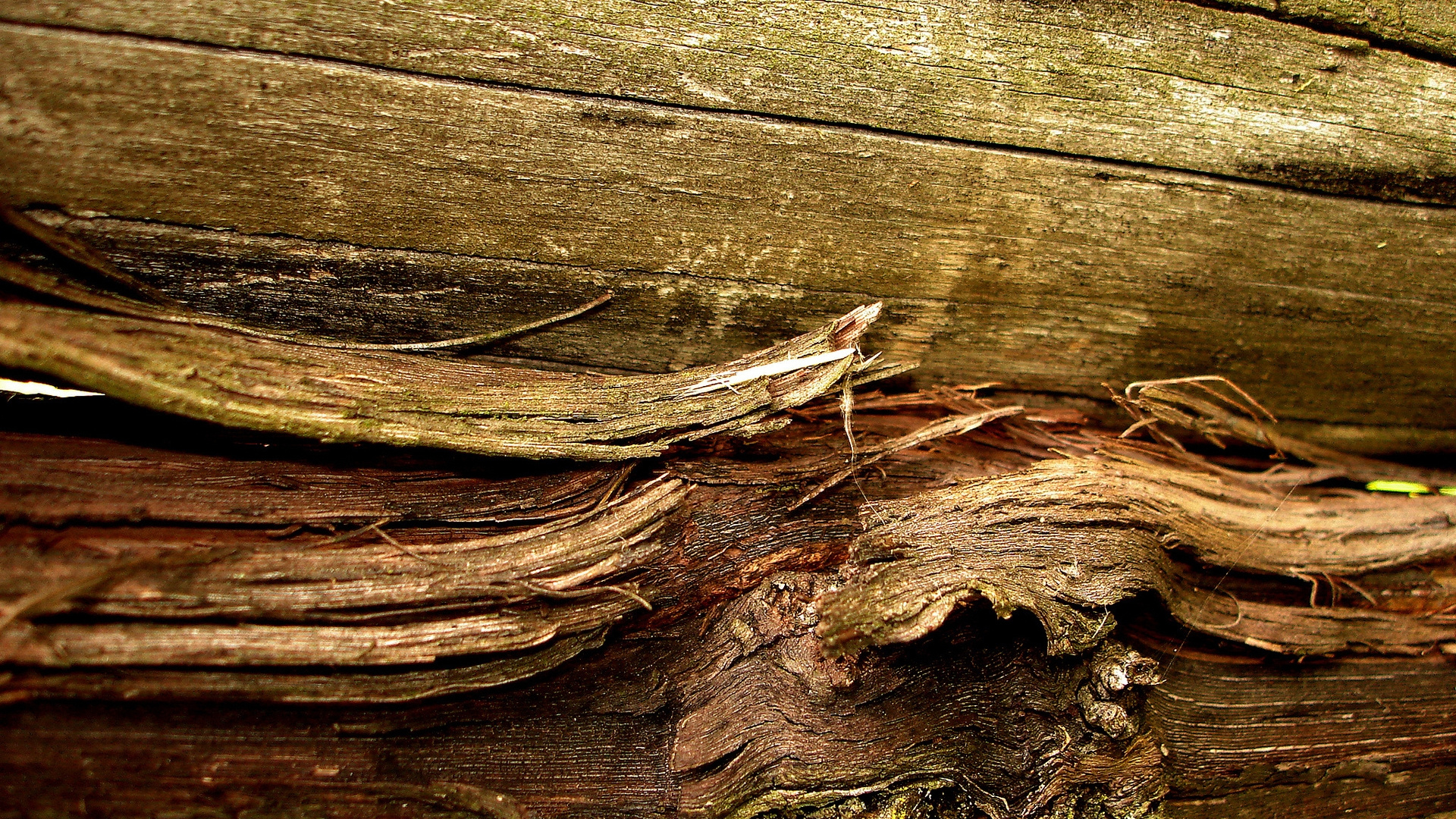 Hojas Secas Marrones Sobre la Superficie de Madera Marrón. Wallpaper in 1920x1080 Resolution