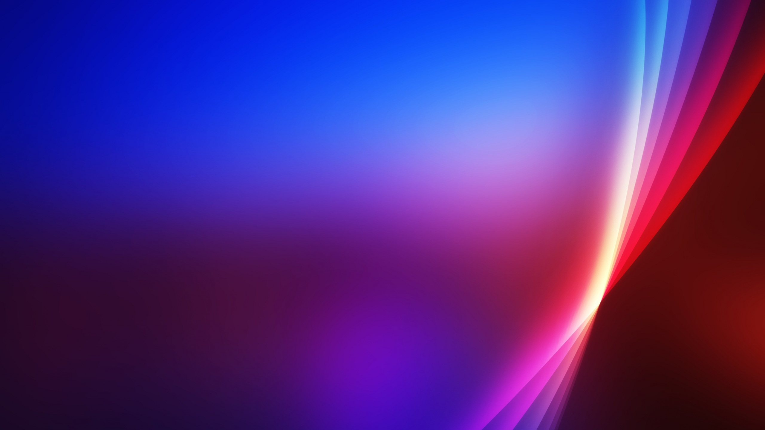 紫罗兰色, 紫色的, 光, 品红色, 粉红色 壁纸 2560x1440 允许