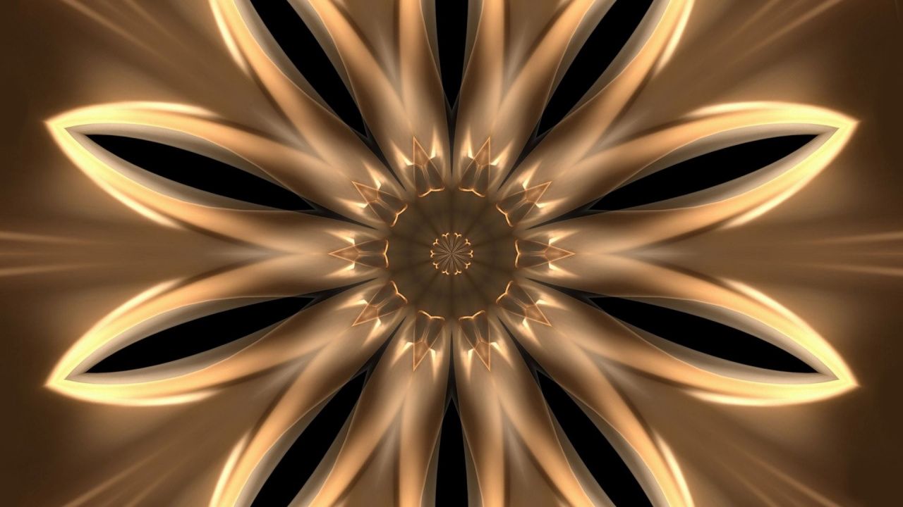 Weiße Und Schwarze Blumenillustration. Wallpaper in 1280x720 Resolution