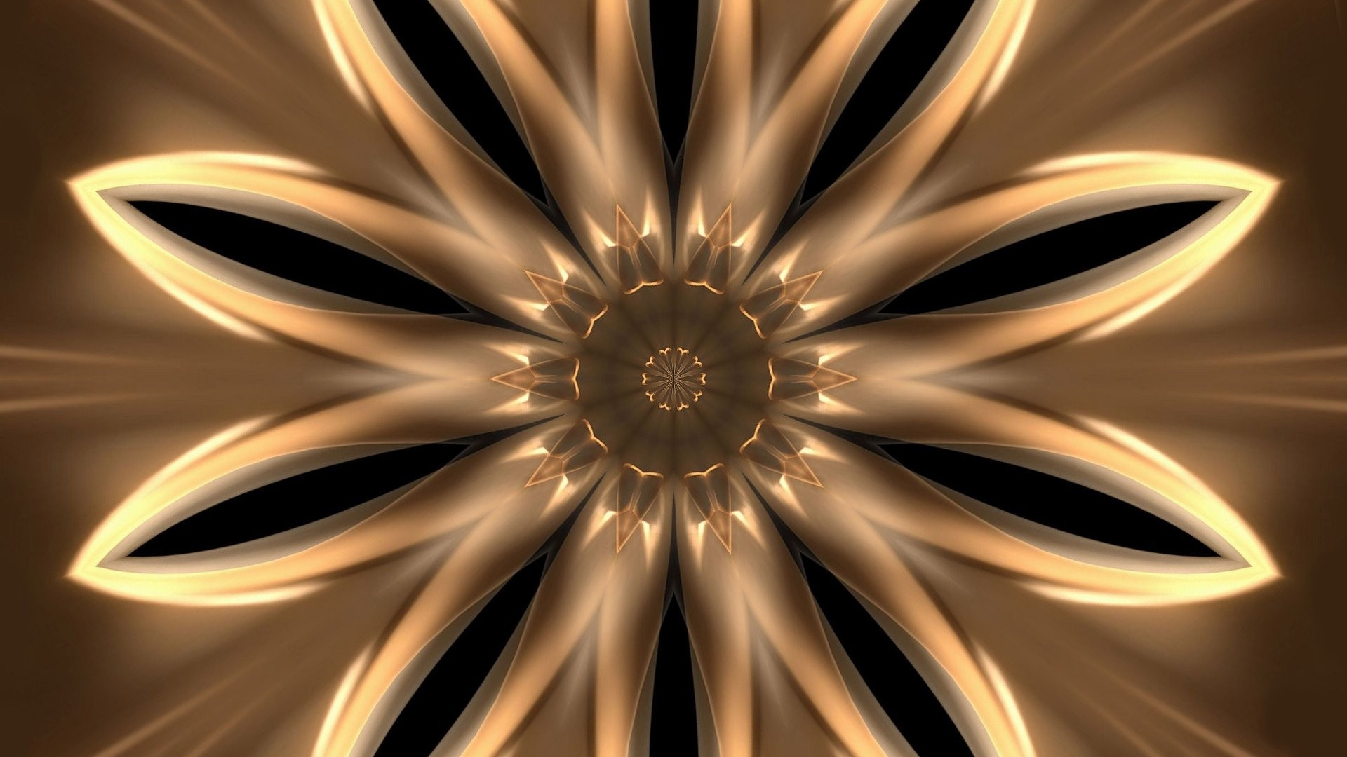 Weiße Und Schwarze Blumenillustration. Wallpaper in 1920x1080 Resolution