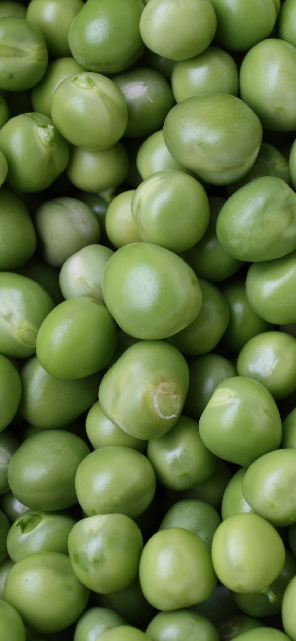 Green Round Fruits in Close up Photography. Wallpaper in 1125x2436 Resolution