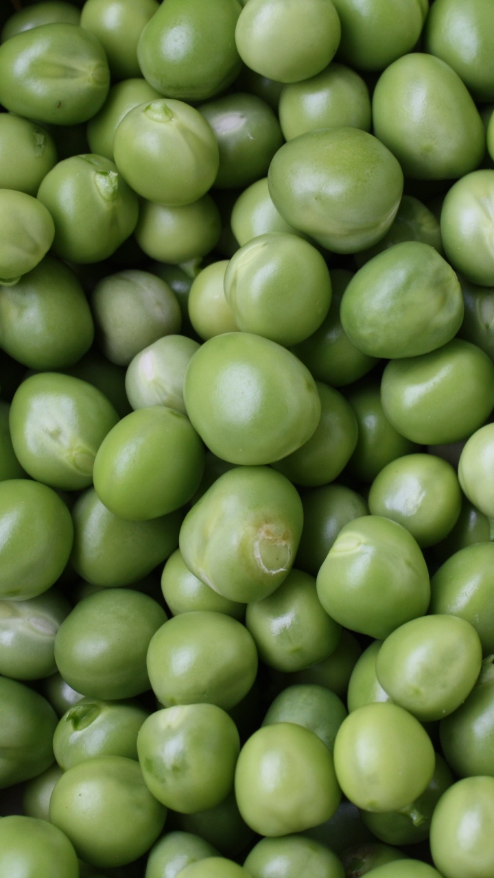 Green Round Fruits in Close up Photography. Wallpaper in 720x1280 Resolution