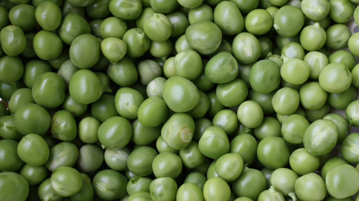 Fruits Ronds Verts en Photographie Rapprochée. Wallpaper in 1366x768 Resolution