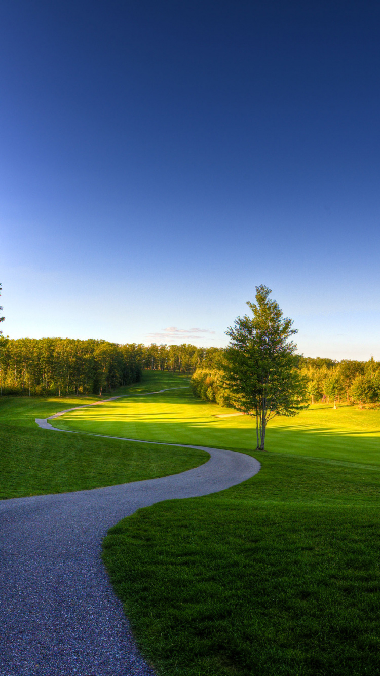 Green Grass Field Near Trees Under Blue Sky During Daytime. Wallpaper in 750x1334 Resolution