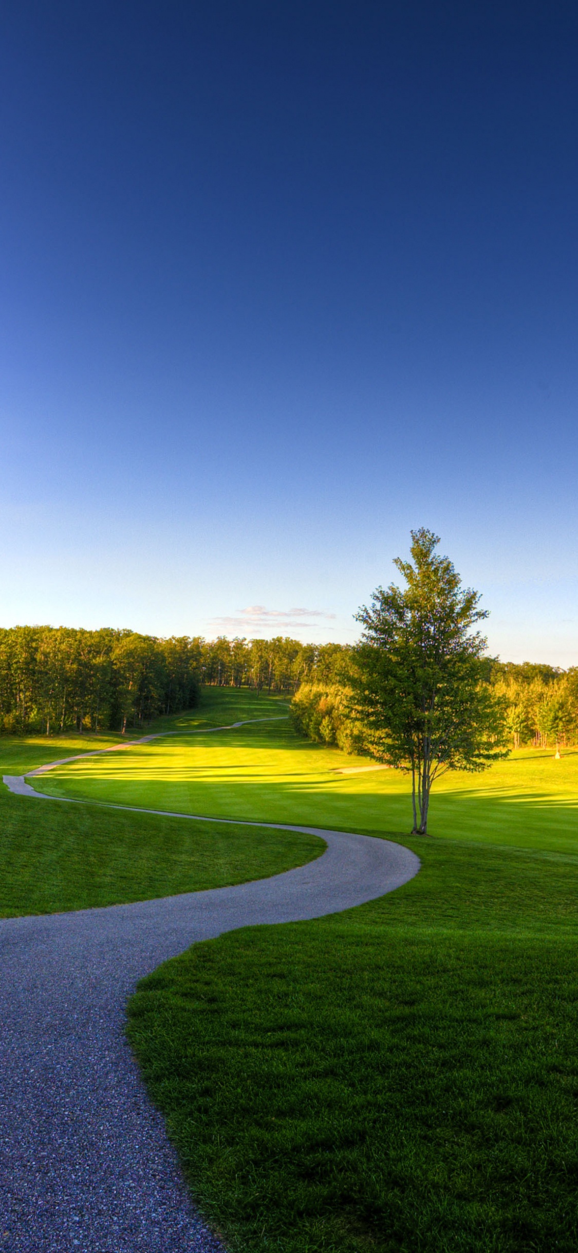 Champ D'herbe Verte Près Des Arbres Sous Ciel Bleu Pendant la Journée. Wallpaper in 1125x2436 Resolution