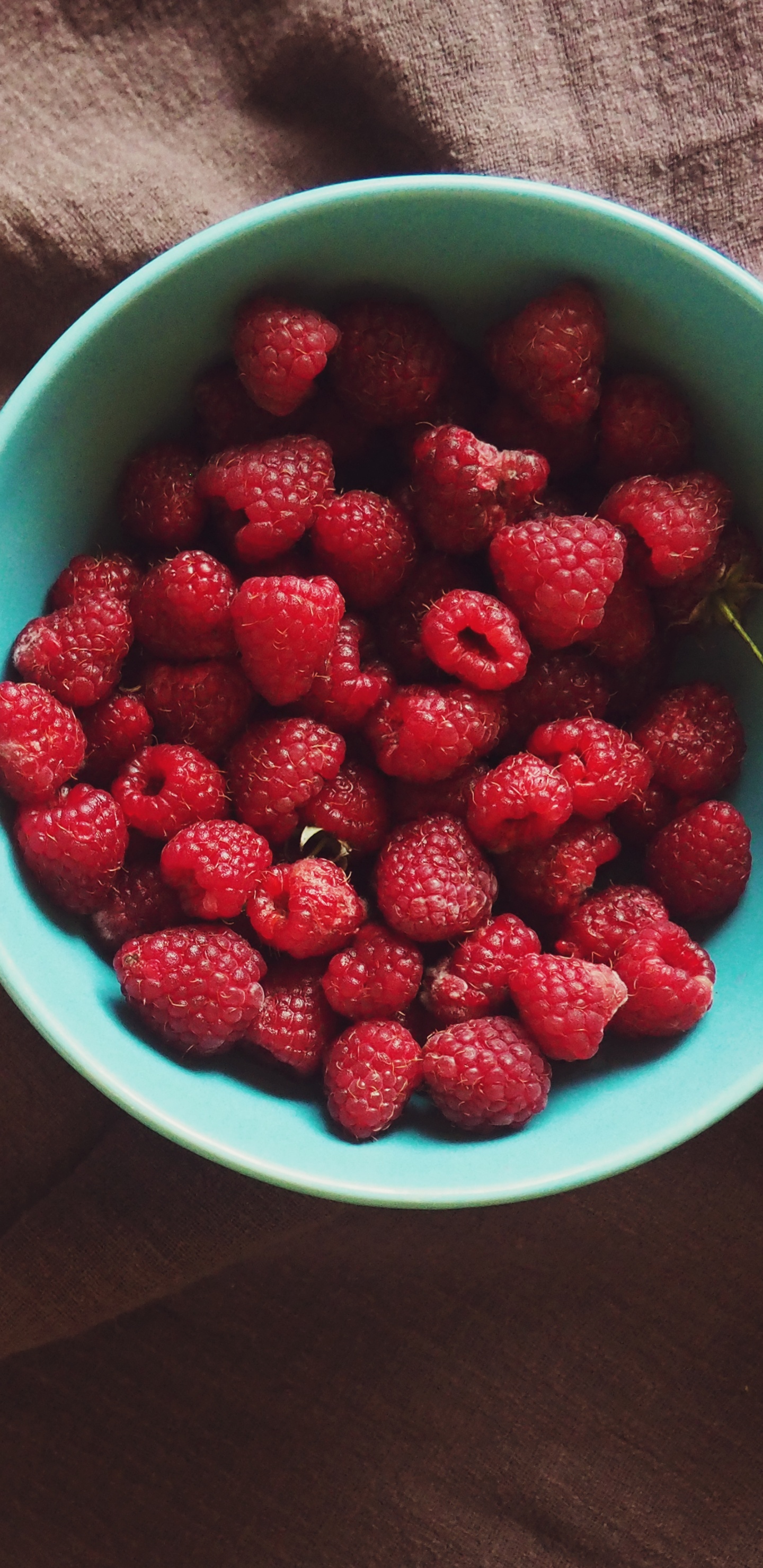 Red Strawberries in Blue Plastic Bowl. Wallpaper in 1440x2960 Resolution