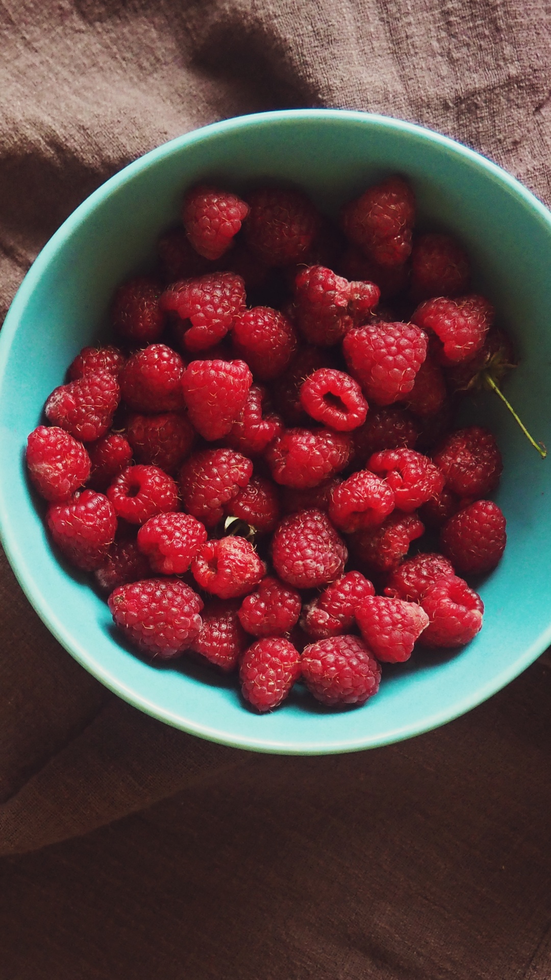 Fraises Rouges Dans un Bol en Plastique Bleu. Wallpaper in 1080x1920 Resolution