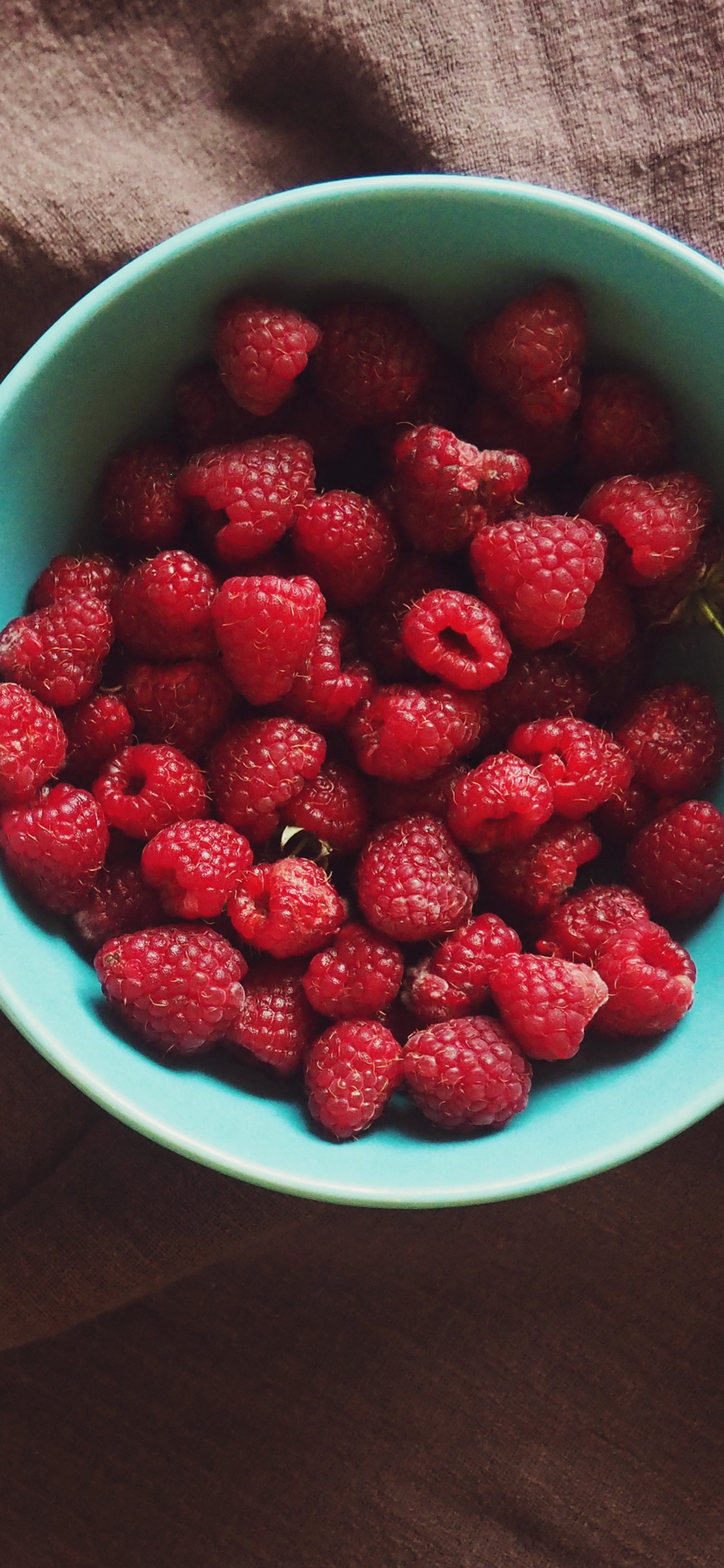 Fresas Rojas en Recipiente de Plástico Azul. Wallpaper in 1125x2436 Resolution