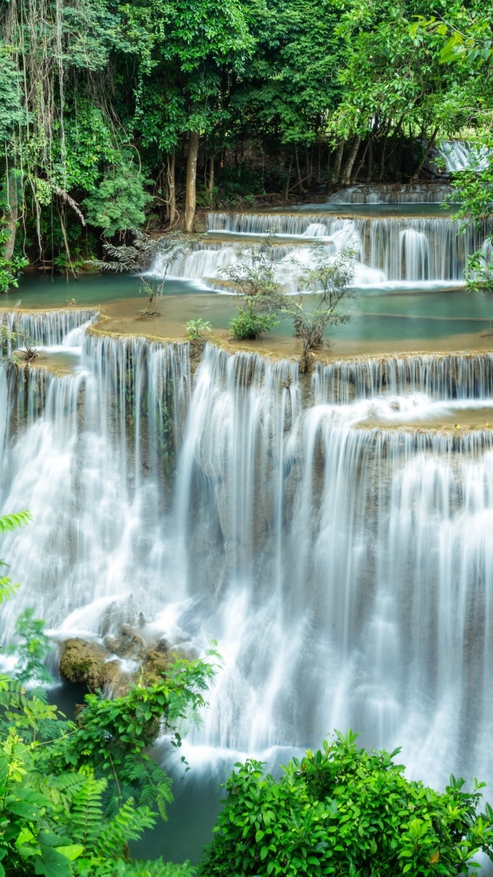 Cascades au Milieu Des Arbres Verts. Wallpaper in 720x1280 Resolution