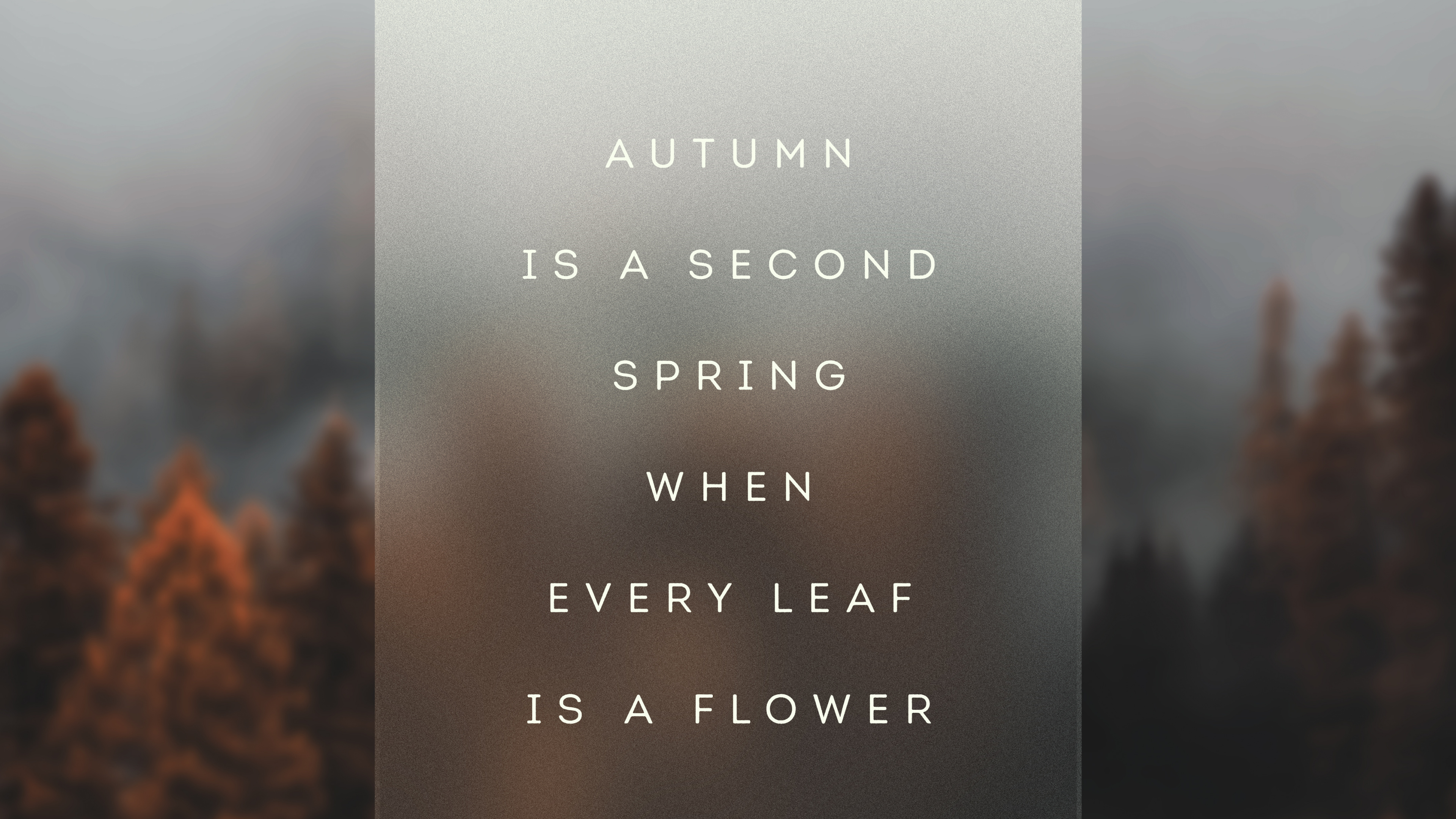 Morning, Atmosphere, Leaf, Tree, Landscape. Wallpaper in 3840x2160 Resolution