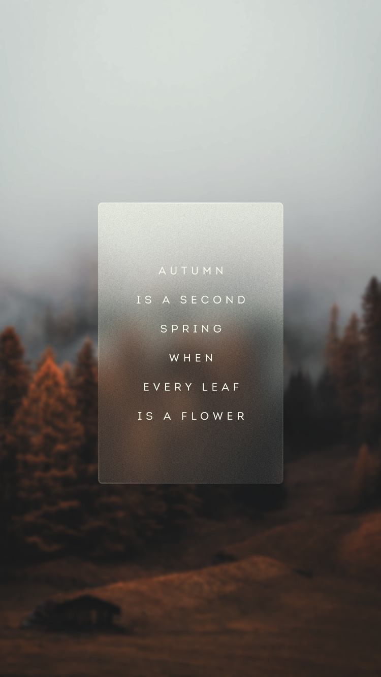 早上, 气氛, 自然景观, 海报, 木 壁纸 750x1334 允许