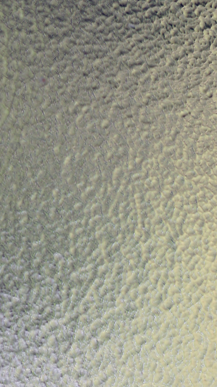 窗口, 纹理, 彩色玻璃, 天空, 玻璃瓦 壁纸 750x1334 允许