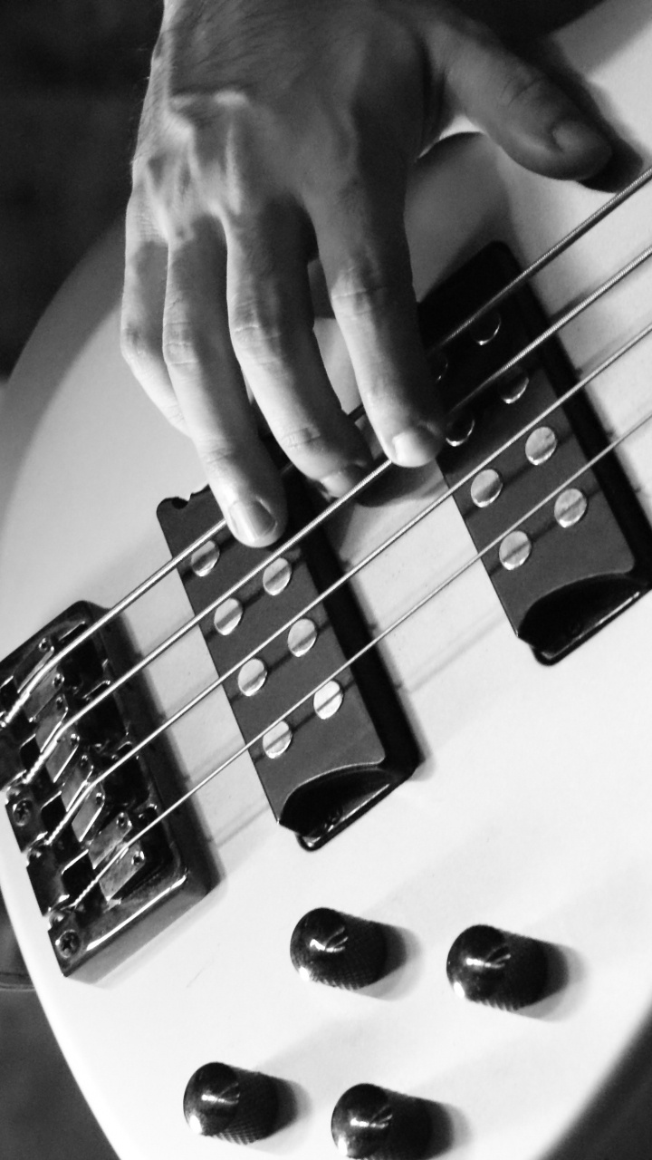 Bass, Kontrabass, Gitarre, Gezupfte Saiteninstrumente, Wei. Wallpaper in 720x1280 Resolution