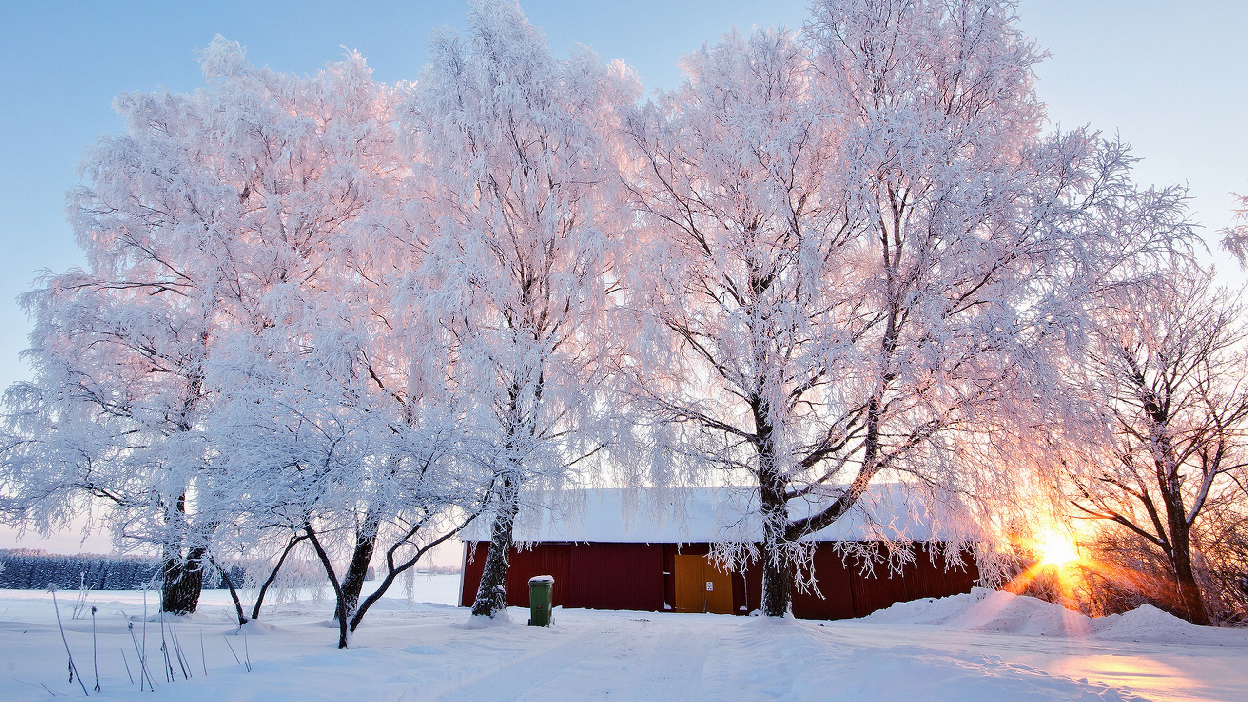 冬天, 冻结, 早上, 冬季阳光, 日落 壁纸 2560x1440 允许